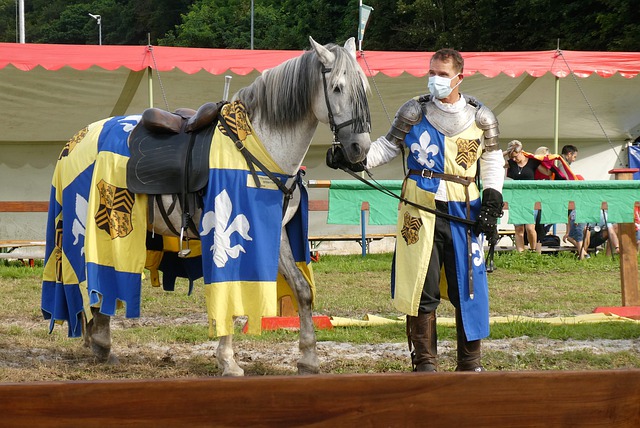 竟的亚少赛 竟的亚少赛