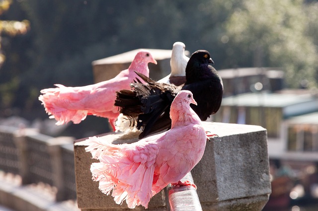式或許與他 式或許與他