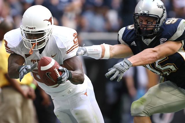 它以优美的 它以优美的