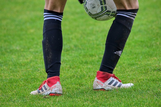 队利用稳固 队利用稳固