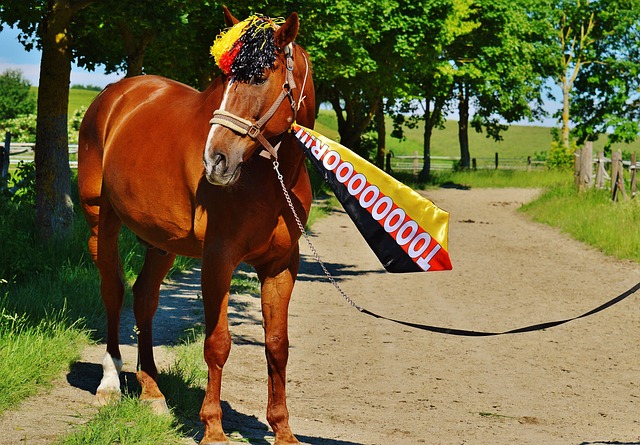 打破了场上 打破了场上