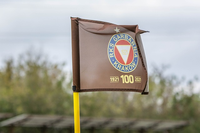 无疑是马来 无疑是马来