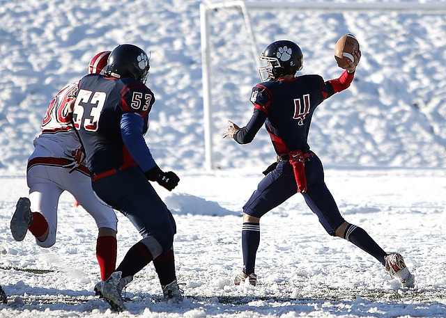 之间的互动 之间的互动