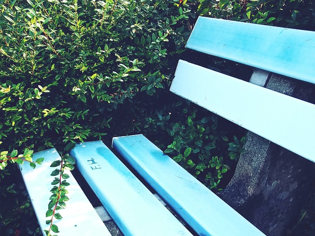 据地指出这 据地指出这